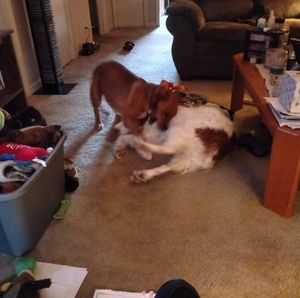 Meet your Posher, Tanya